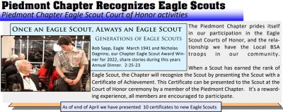Eagle-Scout - Chapter-winner