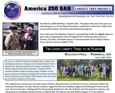 Liberty-Tree-1